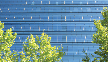Neutral window film subtly protects commercial property 